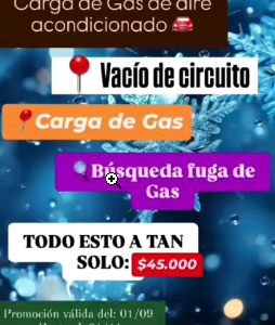Carga de Gas Aire Acondicionado Autos